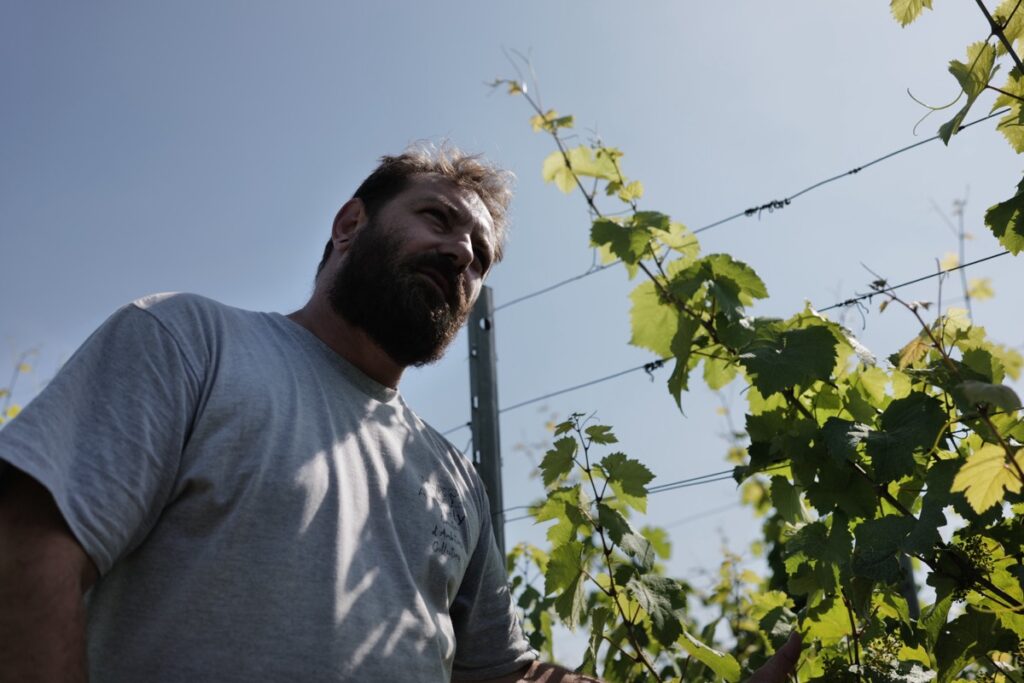 Domaine Fischbach