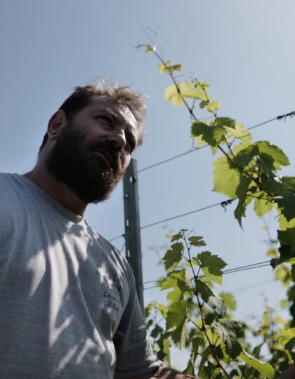 Domaine Fischbach