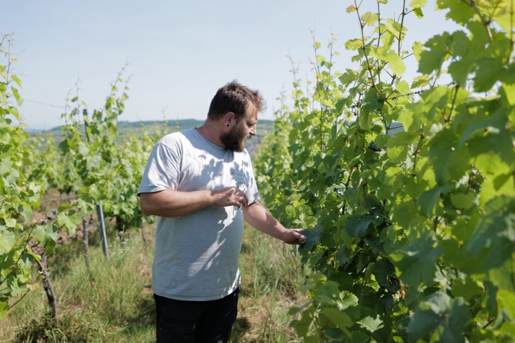 Domaine Fischbach