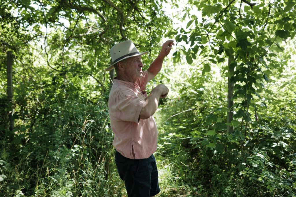 野生の畑のなかに立つブリュノ